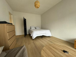 M54 Jolie studio avec balcon Annemasse